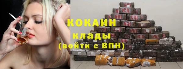 ECSTASY Алзамай