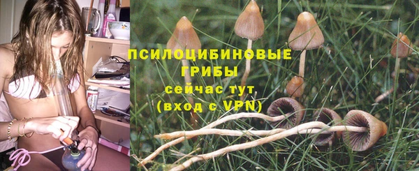 спайс Аркадак